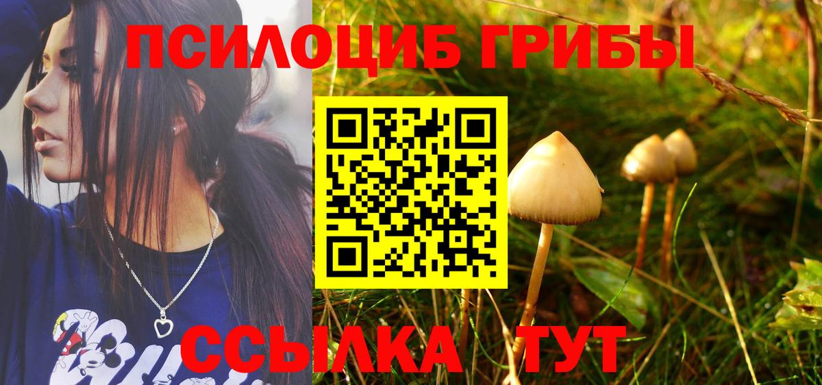Псилоцибиновые грибы Psilocybine cubensis  Вход с VPN  Галлюциногенные грибы GOLDEN TEACHER  Киреевск 